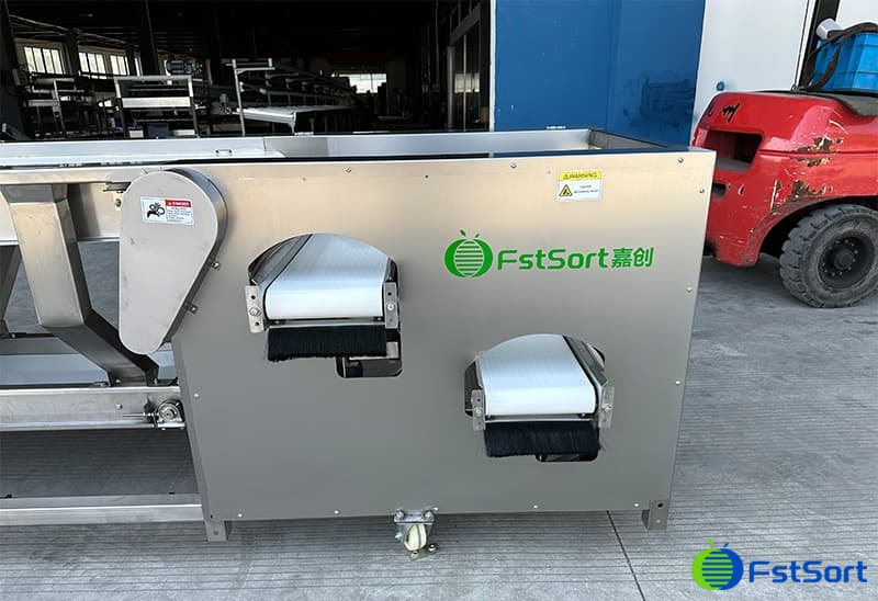 images/1731051837991blueberry grader.jpg